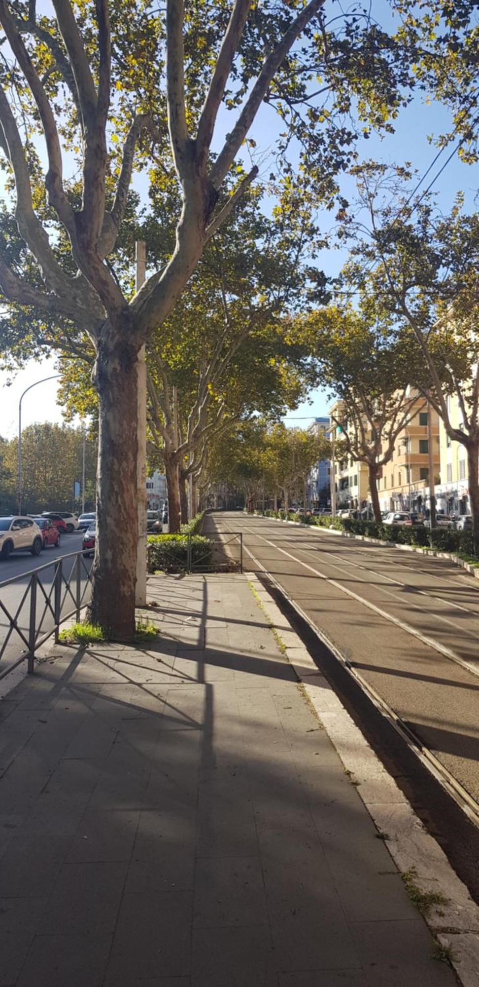 Trastevere Residenze Rome Bagian luar foto